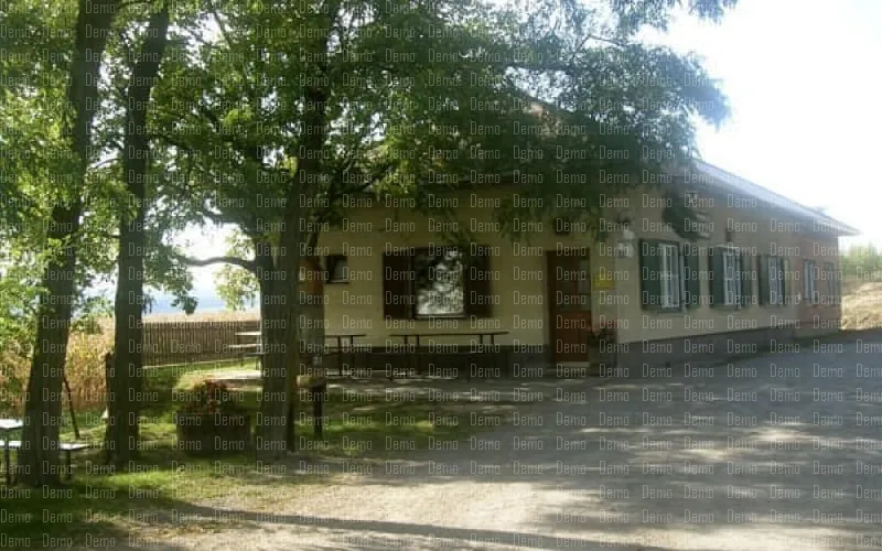image1_1.jpg
